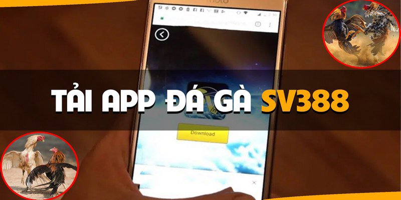 Hướng dẫn tải App Sv388 chi tiết